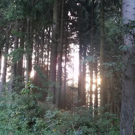 度假居 Waldhuesli *